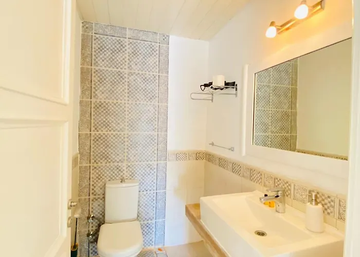 酒店 Alaca Butik 阿拉恰特