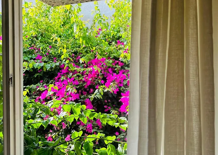 Alaca Butik 酒店 *