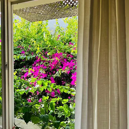 Alaca Butik Otel *