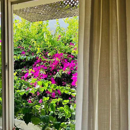 Alaca Butik Otel *