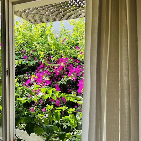 Alaca Butik * Alaçatı